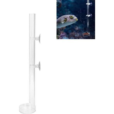 Tubo e piatto di alimentazione per gamberetti CSPARCV in acrilico trasparente, tubo di alimentazione per acquario (32 cm) (1/5)