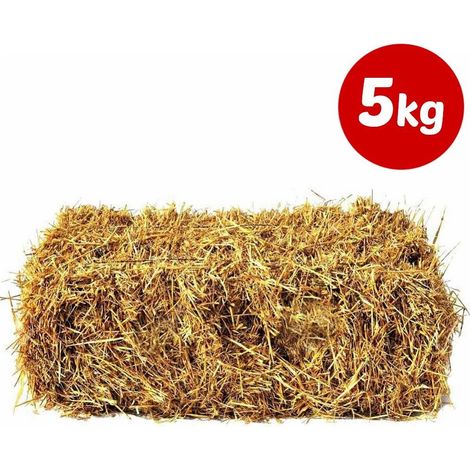 TrAdE Shop Traesio - Paglia Colore Legno Da 5 Kg Per Decorazioni Addobbi Presepe E Cesti Da Regalo - (1/2)