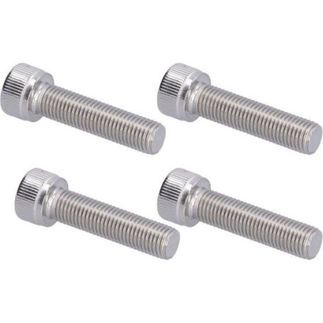 Boulon Hexagonal, 4 Pièces Vis à Capuchon à Douille M10 à Pas Fin de 1,25 Mm Finition Brillante en Acier Inoxydable A2-70 (1/4)