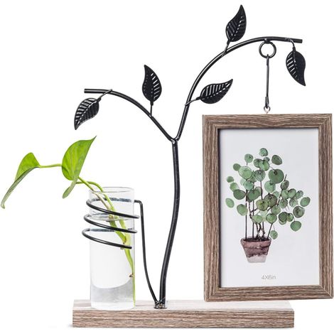 Fotorahmen, kleiner Fotorahmen, kreativer Fotorahmen aus Draht und Holz, kann Pflanzen züchten, schlicht und modisch, für Wohnzimmer, Arbeitszimmer, Schlafzimmer (10 x 15 cm, braun) (1/5)