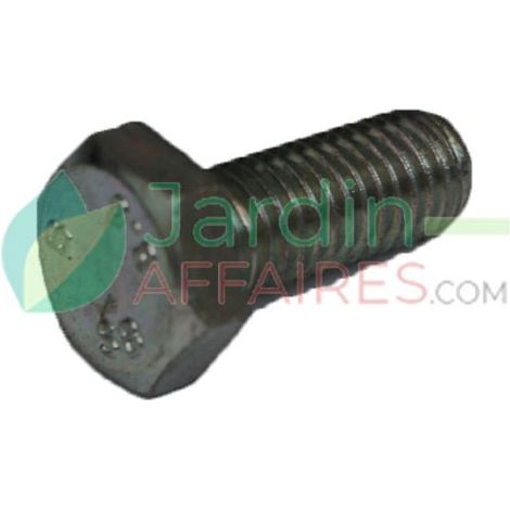 Vite Uni 5739 M 10 x 25 Delmorino 40100043