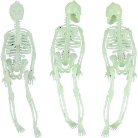 8-teiliges Halloween-Skelett für Halloween-Dekorationen (1/3)