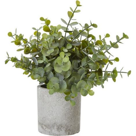Small Button Eucalyptus Plant in Pot - Plastic - Height 22 cm - Green/Grey