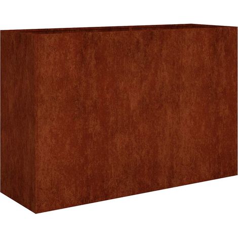 Maison Exclusive - Fioriera Rialzata da Giardino 120x40x80 cm in Acciaio Corten (1/5)