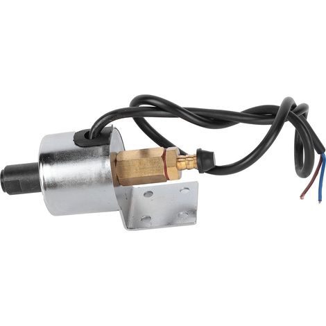 Pompe à huile électromagnétique pour rectifieuses, lubrification nickel-chrome, 380 cm³/min, 13 W, 110 V CA (1/5)