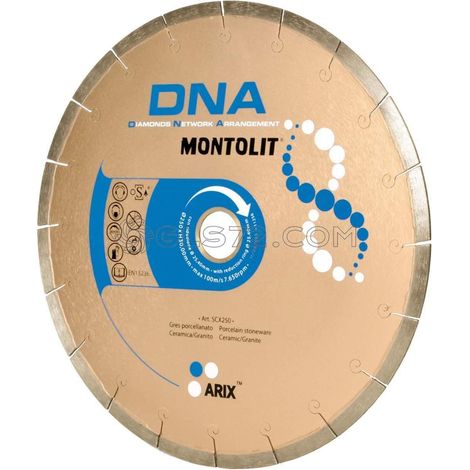 DISCO DE DIAMANTE 250 MM PARA GRES PORCELŽüNICO CERŽüMICA GRANITO MONTOLIT DNA SCX250 (1/2)