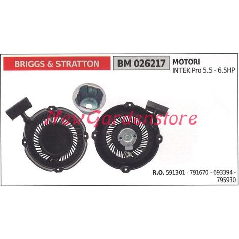 Inbetriebnahme BRIGGS & STRATTON Rasenmäher Motor Rasenmäher 026217