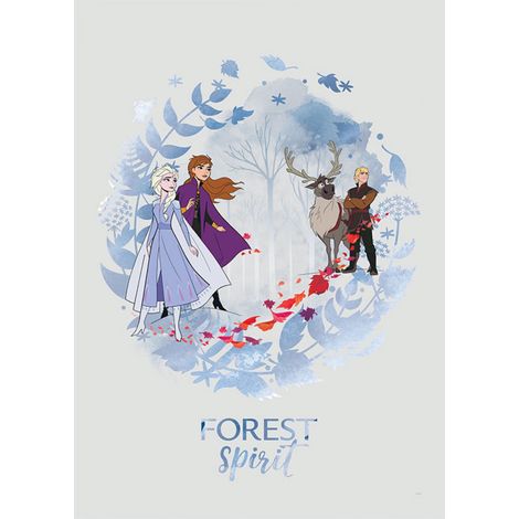 Poster Disney La Reine des Neiges 2 - Esprit de la forêt 40 cm x 50 cm (1/4)