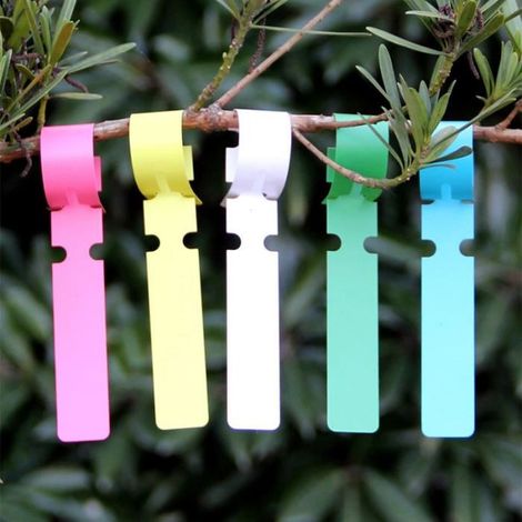 TuseRxln Kunststoff-Baumetiketten, 300 Stück, Gartenpflanzenetiketten, 2 x 21 cm, umlaufende Hängeetiketten (6 Farben)