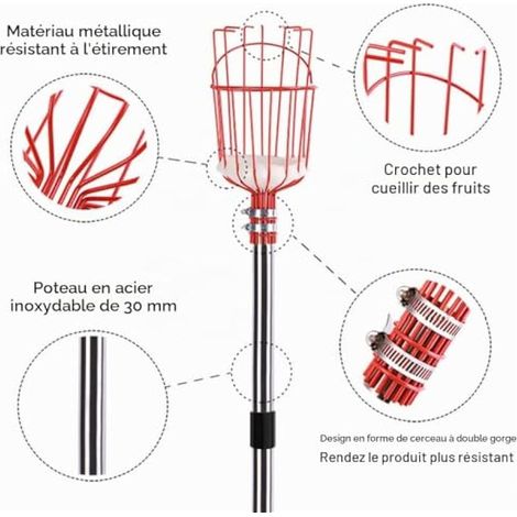 Cueille-fruits avec manche télescopique 4,3 m, en acier inoxydable, pour pommes et pêches. Outil de cueillette pour le jardin. Diamètre : 145 mm. (1/4)