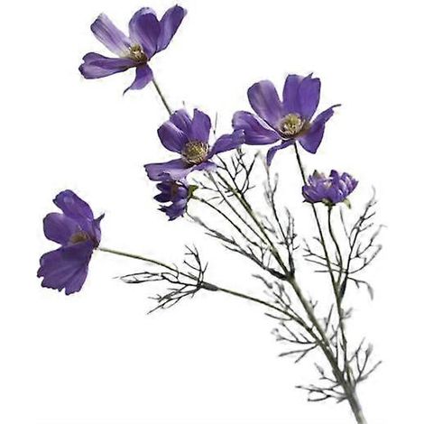 Marguerites artificielles en tissu de soie imperméable et réaliste, décoration florale artificielleviolet (1/5)