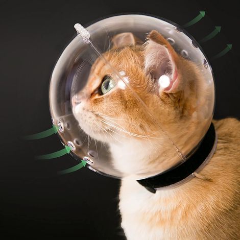 Muselière transparente pour chat avec capuche respirante et casque réglable (taille L) Casque d'astronaute pour chaton / Masque-bulle pour chat agressif (1/5)