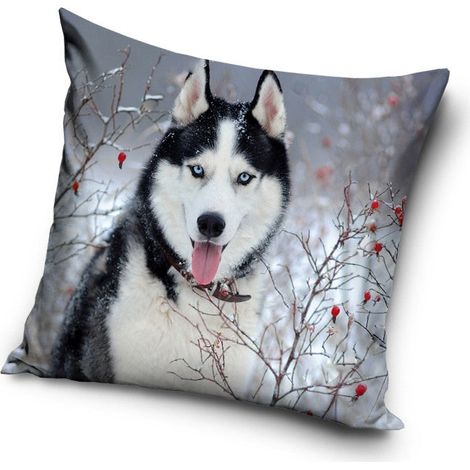taie d'oreiller pour chien 4040 cm