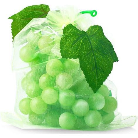100 Sac Protection Fruits Sacs Filets Protection des Grappes de Raisins Contre Les Oiseaux et Insectes Guêpes Frelons 30 x 20 cm (1/4)
