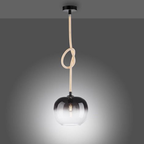 Paul Neuhaus Pendelleuchte Luma in Schwarz-transparent und (1/5)