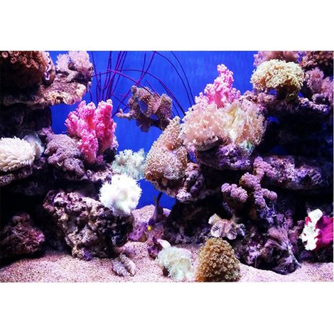 Poster Adhésif Effet 3D Récif Corallien pour Aquarium 61x30cm Décoration (1/5)