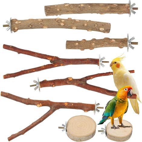 Lot de 8 perchoirs pour oiseaux, perruches, accessoires en bois naturel, accessoires de cage à oiseaux, jouets pour oiseaux, perchoirs pour perruches, canaris (1/5)