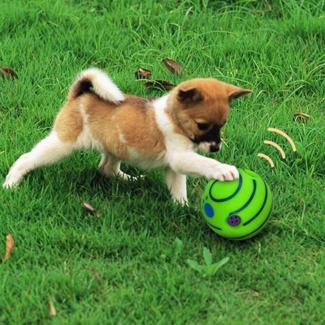 Jouet interactif pour chien - Giggle - Balle de 15cm - Vinyle - Couleur verte - Amusant et engageant (1/4)