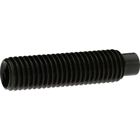 Reidl ISO 4028 Gewindestifte M16x30, mit Innensechskant/Zapfen, 45 H blank (1/2)