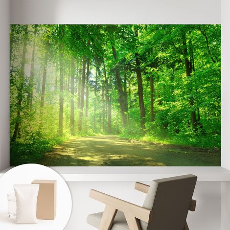 Tapete Vliestapete mit Kleber - trendige Wanddeko - elegant Fototapete für Wohnzimmer - Schlafzimmer Waldweg 104x70 cm