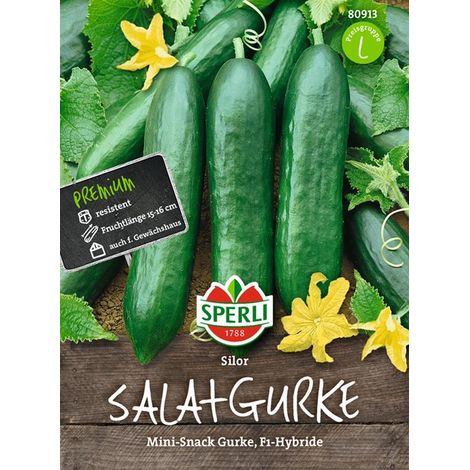 Sperli Salatgurken Silor F1 - Gemüsesamen (1/4)