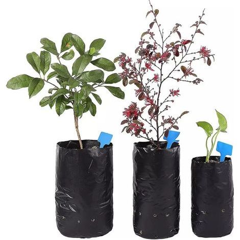 Lot de 100 sacs de plantation respirants 24x31cm - Pots en tissu noir anti-racines - Idéal pour fruits. légumes et fleurs - Favorise la croissance (1/5)