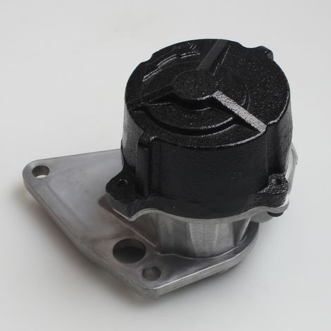 9630499880 9630898080 9641341780 9622463880 Brake vacuum pump--DTEKGAZ (1/4)