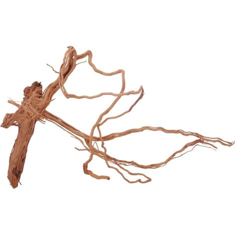 L Drachen Wurzel Nr.3192 Holz Deko Aquascaping