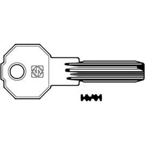 5PZ CHIAVI PUNZONATE PER CILINDRI PREFER 6 SPINE PF21 - PF21