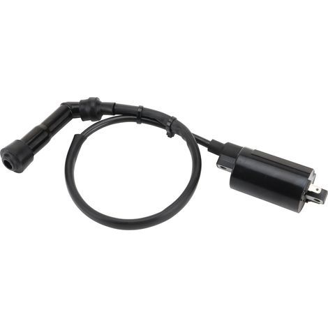Zündspule kompatibel mit Suzuki Volusia 800 VI800 2001-2004 Motorrädern Modelle K1/K2/K3/K4, Hochvolt-Zweizylindermotor. (1/4)
