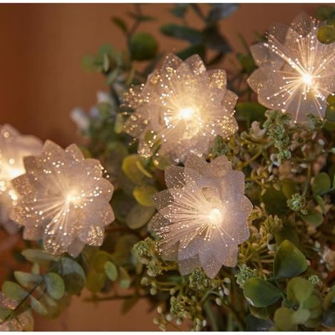 Guirlande Lumineuse - 20 LED - 3M - Blanc - Extérieur - Jardin (1/4)