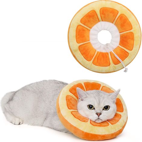 Collerette élisabéthaine réglable, douce et mignonne pour chats — adaptée à la convalescence post-opératoire des chatons. (1/5)