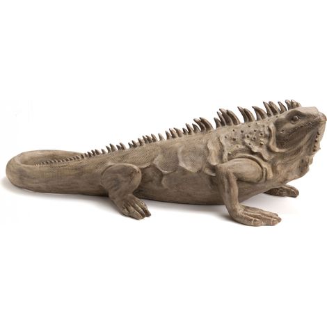 Amadeus - Iguane Colorado 95 cm (1/3)