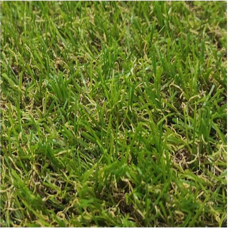Gazon Synthétique 1X2M 18MM Lisse Duveteux Jardin Extérieur Type Quatre-tons (1/4)