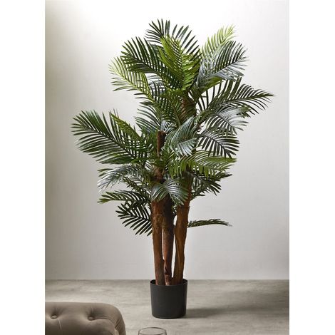 Plante Kentia 156 cm. 156 cm (1/3)