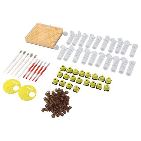 Königinnenzuchtsystem, Aufzuchtzellen-Set aus Kunststoff, Imkereiausrüstung, Zubehör (1/5)