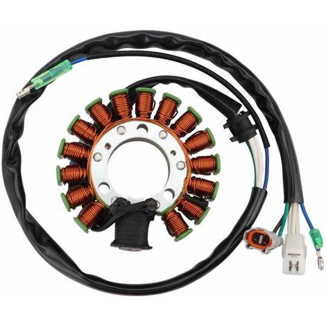 Bobine de stator et magnéto compatible avec TW200, TW225 et TW125, pièce de rechange pour moto tout-terrain. (1/5)