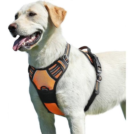 Filiyano-Harnais pour chien orange (1 pièce), réglable, réfléchissant et anti-traction, avec poignée de contrôle, résistant, pour chiens de taille (1/5)