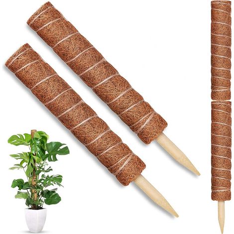 Support pour plantes grimpantes Monstera d'intérieur, tiges en mousse, lot de 2 (1/4)