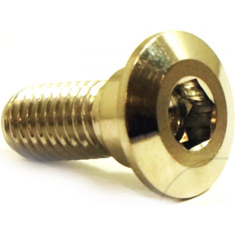 JMP Bremsscheibenschraube M8x20mm, 1,25 Gewinde, Edelstahl (1 Stück) für Yamaha