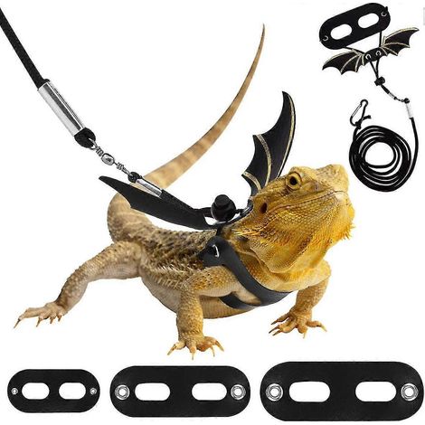 Sangle réglable en cuir de lézard, corde de traction extérieure pour petits reptiles, sangle d'aile (1/5)