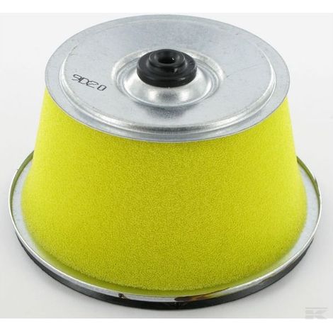 17210883505 - Filtre à Air pour moteur HONDA (1/2)