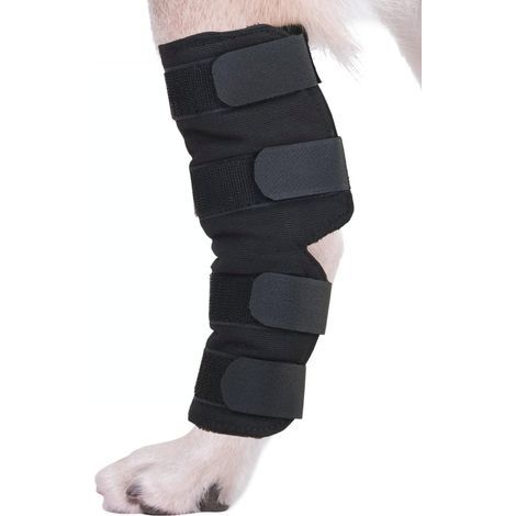 1 paire de genouillères pour chien, genouillère pour chien de compagnie, coudière pour chien, protège-jambe arrière pour chien de compagnie, bandage pour blessure chirurgicale, guérison de la plaie L (1/5)