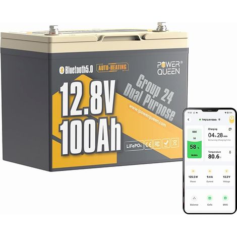 Power Queen 12V 100Ah batterie lithium-marine à démarrage à double usage (1/5)