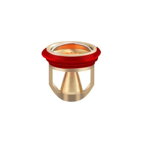 Nouveau siphon de sol anti-odeur et anti-insecte(or) (1/4)