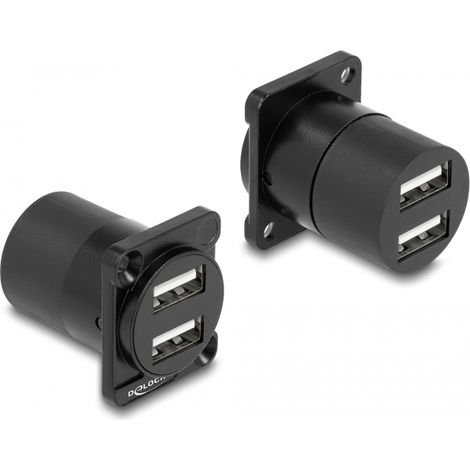 Delock Módulo Type-D USB 2.0 Tipo-A 2 x hembra a 2 x hembra