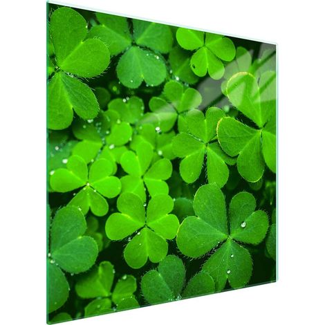 Piastra protettiva in vetro per piano cottura 50x52 Foglia (1/5)