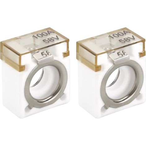 2Pcs 100A 58V Automotive Square Battery Fuse Terminal Metal Ceramic Fuse Replacement Parts for Automotive Circuit Protection RV Crane Oower Supply (1/5)