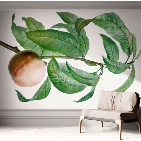 Fotomurale adesivo stickers - per camera da letto - per corridoio - decorazione casa moderna Pesca matura 312x219 cm (1/5)