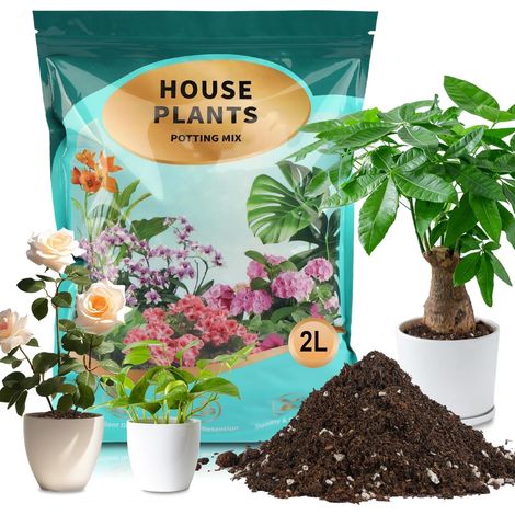 Mélange de terreau pour Plantes d’intérieur, terreau Organique Bien drainé prêt à l’Emploi, adapté aux pothos, philodendrons, monsteras et Violettes africaines – 2L (1/5)